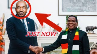 🎉 Congratulations Zimbabweans Finally zvazoita Just now Honai!!!!!!!