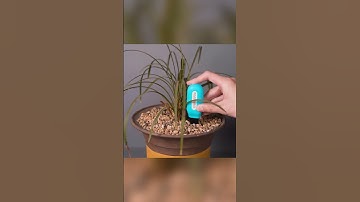 🌱 Grow Smarter with the MOES Zigbee Smart Soil Sensor! 🌦️🌡️