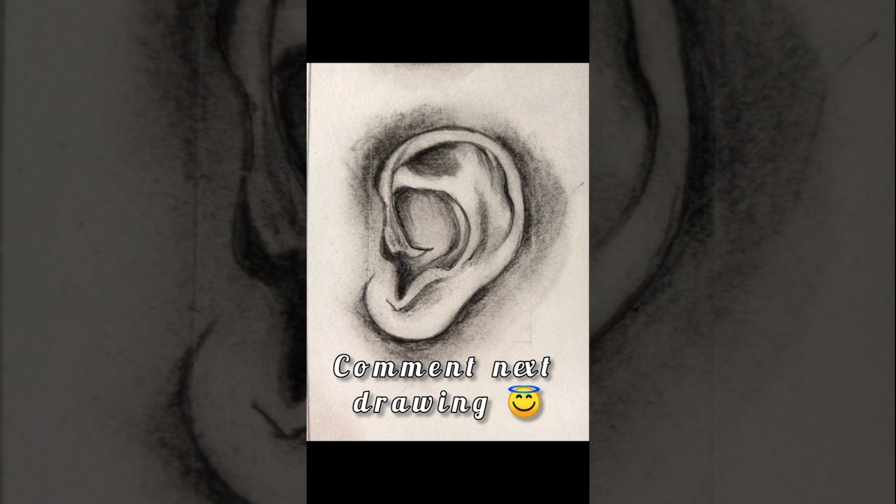 ear drawing 