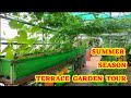 summer season garden tour | guna garden update