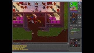 Tibia Mayhem Silvera March 2009