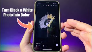 How to Turn Black & Whites Photo to Color on iPhone screenshot 1
