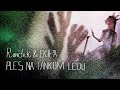Pomjeren koncert "Rundeka & Ekipe" u Sarajevu