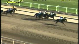 Arizona Breeders' Futurity at Turf Paradise