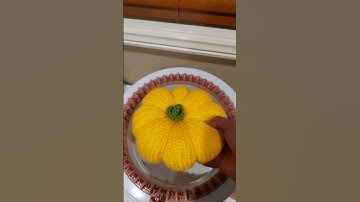 Sentro Project Idea! #amigurumi #crochet #sentro #knitting #knittingmachine #crocheting #diycrafts