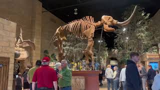 Is the Creation Museum Worth It? Full Experience Review