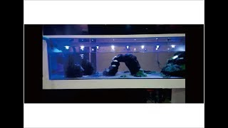 Lampu aquarium sederhana yg bisa di nyalakan dengan charger Hp & Powerbank