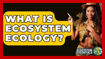 What Is Ecosystem Ecology? - Ecosystem Essentials