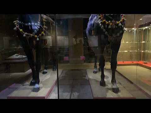 خيول مدفونة مع أصحابها في المقابر