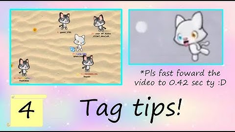 Tag tips in meow playground