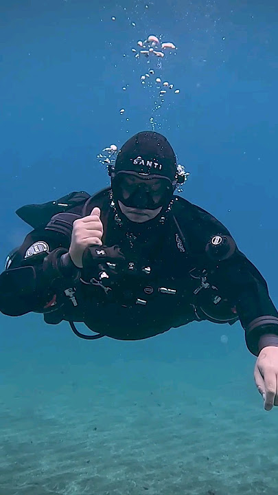 Learn the correct way of long hose recovery. #scubadiving #skills #howto #dive