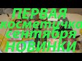 👛ПЕРВАЯ КОСМЕТИЧКА сентября!👝 Много НОВИНОК!!!🍁🍂