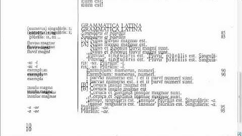 Lingua - 1.G - Reading Tutorial
