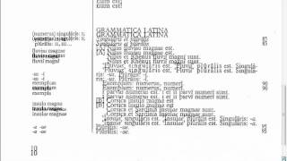 Lingua - 1.G - Reading Tutorial