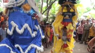 burok bnk pakusamben asal keduman aksi barongsai