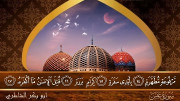 سورة عبس - جودة عالية - القارئ الشيخ  ابو بكر الشاطري