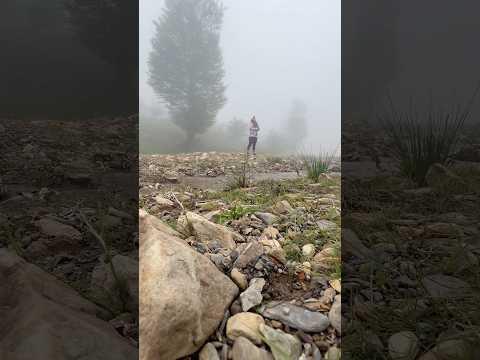 هر مسیر ناشناخته ای توی طبیعت یه فرصت جدیده برای رشد و شجاعت  کوه روبا ماسوله