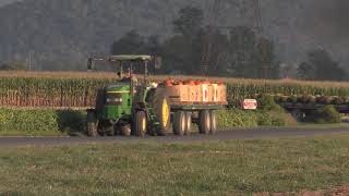 Shenandoah Valley Produce Auction