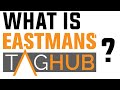 What is Eastmans&#39; TagHub? Custom, Digital Hunting Research (Tip)