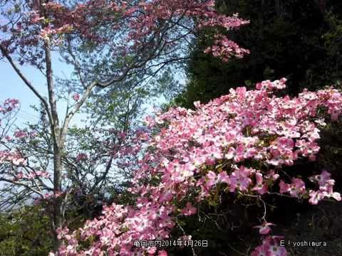 熱き心（カラオケで歌いました）