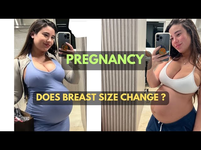 Does breast size change during pregnancy?  Pregnancy Q&A  @MomToBeAdventure 