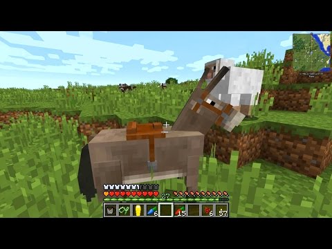 Minecraft - HermitPack #5: Supersonic Donkey