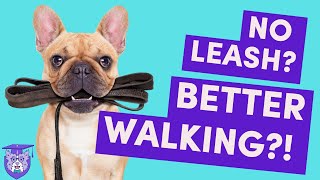 Loose Leash Walking Foundations: Why It Doesn't Start with a Leash