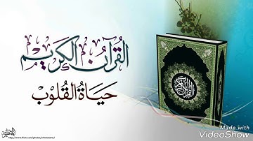 سورة الماعون 🍃محمد صديق المنشاوي🍃