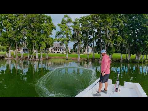Cast Netting Muddy Tilapia at Florida's $115 Million Mansion