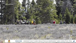 Bison gores 83yearold woman in Yellowstone National Park