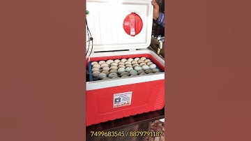 90/100 Eggs Fully Automatic Incubator low price Incubator auto turning