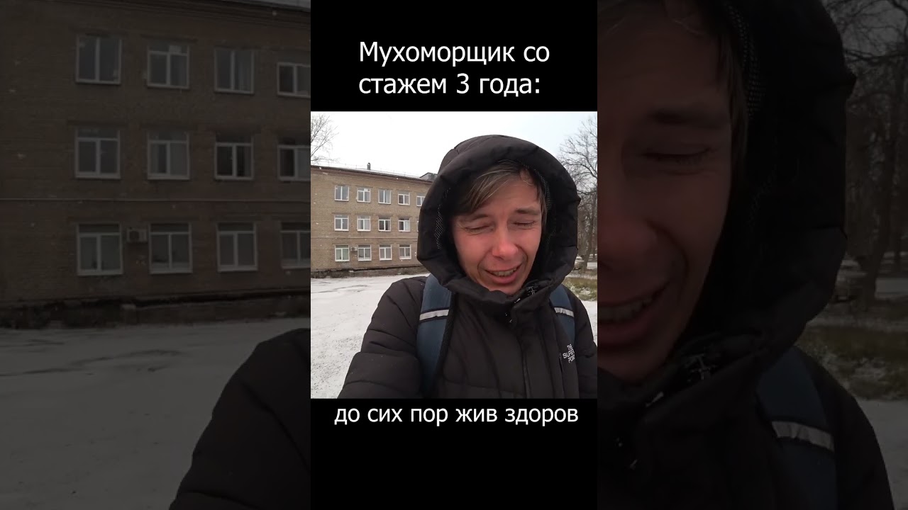 3 года употребляю мухоморы. К чему это привело?