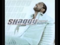 Shaggy Angel Crash Burn Mix mp3