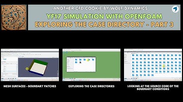 🍪 CFD cookie - YF17 CFD simulation - Exploring the OpenFOAM case directory | Part 3