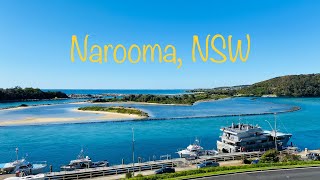 NAROOMA. Top Places and Things to do In Narooma, NSW