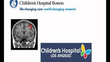 Candidate Video Sample