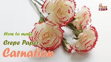 How to make a crepe paper Carnation - HanaDIY