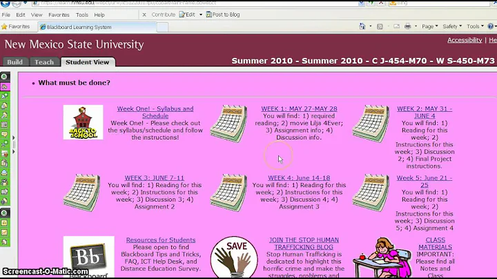 Quality Matters Rubric Standards QM 4 video - QM4_dimitrijevic_video.mp4
