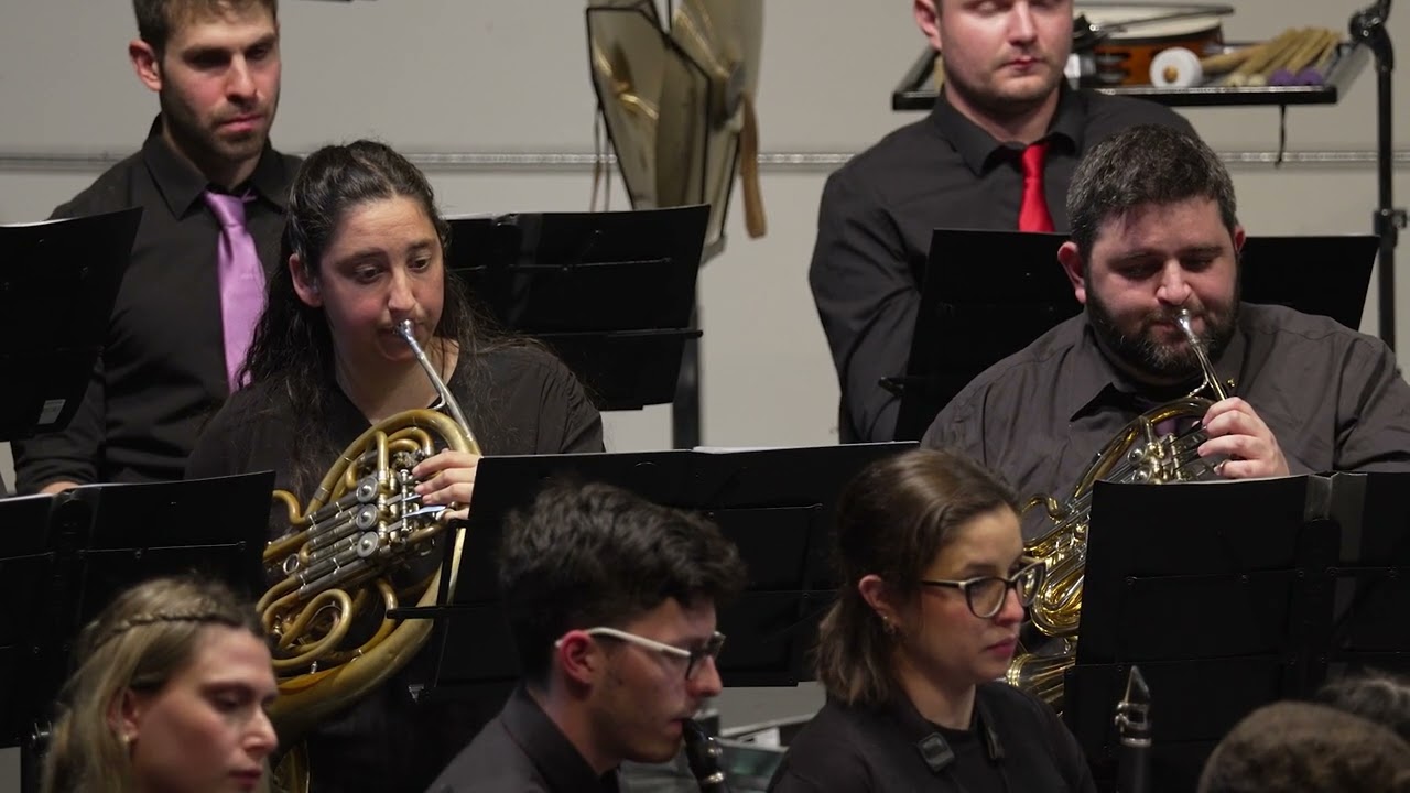 Stampede/Lion Sleep Tonight from Lion King - HWS Orchestra