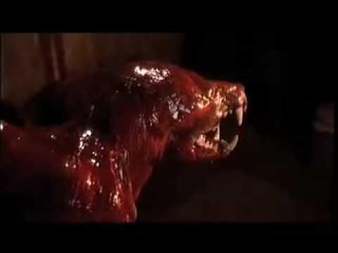 Ranker Video