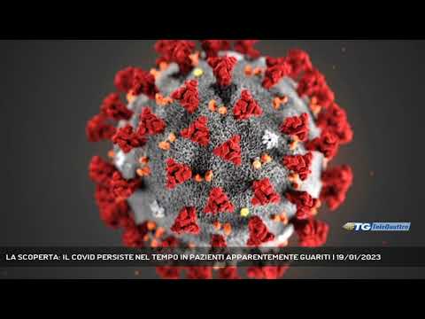 LA SCOPERTA: IL COVID PERSISTE NEL TEMPO IN PAZIENTI APPARENTEMENTE GUARITI | 19/01/2023