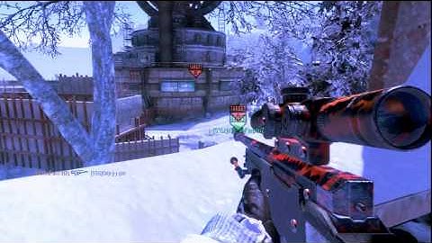 Black Ops : Cool Noscope With Awesome Music