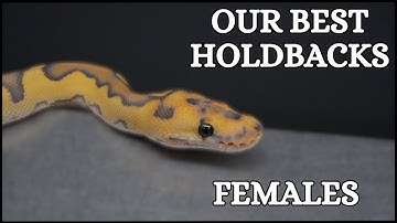 Our Most POWERFUL Female Holdbacks of 2024!