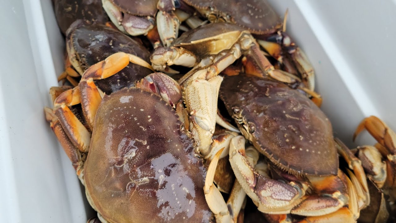 Oregon Coast Crabbing