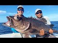 *MASSIVE* WRECK GROUPER while Deep Dropping! (Catch Clean Cook)