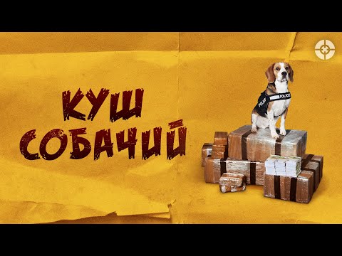 Куш собачий / Lucky (2020) / Криминальная экшен-комедия в духе «Карты, деньги, два ствола»