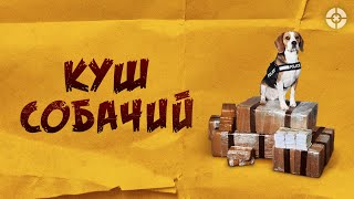 Куш собачий / Lucky (2020) / Криминальная экшен-комедия в духе «Карты, деньги, два ствола»