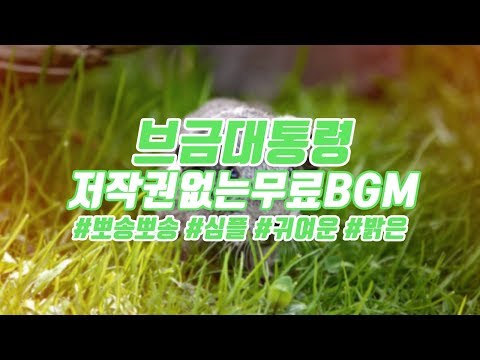 [브금대통령] (심플/귀여운/Bright) 뽀송뽀송/Pposong Pposong [무료음악/브금/Royalty Free Music]