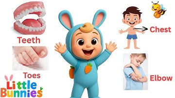 Body Parts for Toddlers and Preschoolers | Learn with Fun Video | Little Bunnies