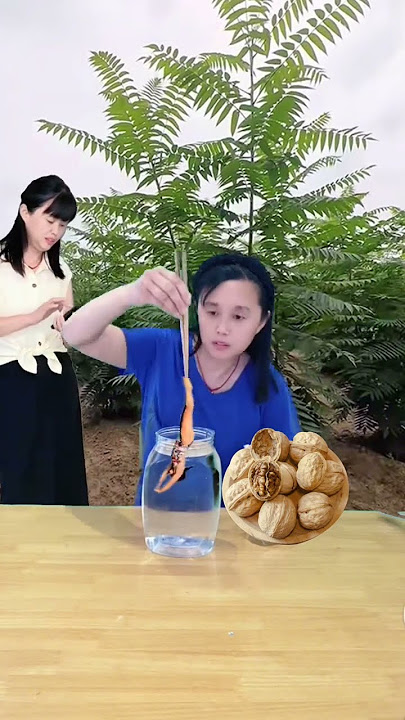 Video lucu gadis cantik jatuh dari udara